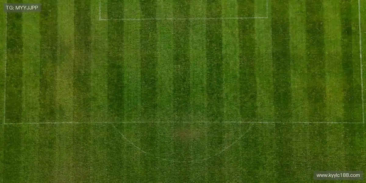 slider-1 Image
